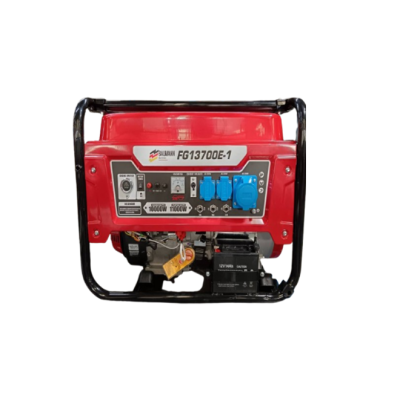 სინქრონული გენერატორი ბენზინზე, BAUMANN  FG13700E-1  11KW, ელ-საქოქით